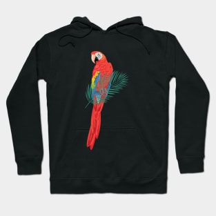 Parrot on a Branch Hoodie